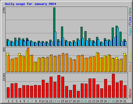Daily usage for January 2024