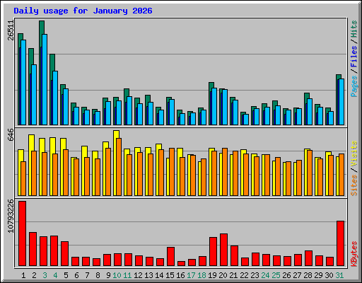 Daily usage for January 2026