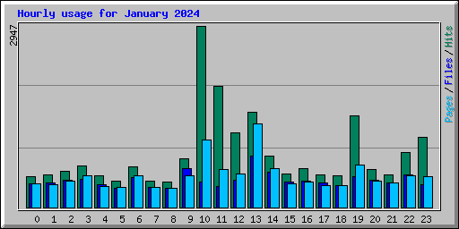 Hourly usage for January 2024
