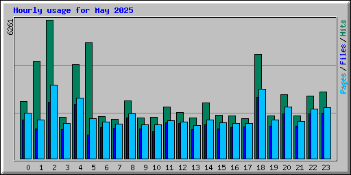 Hourly usage for May 2025