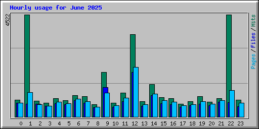 Hourly usage for June 2025