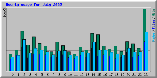 Hourly usage for July 2025