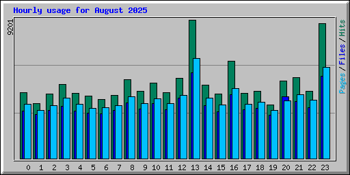 Hourly usage for August 2025