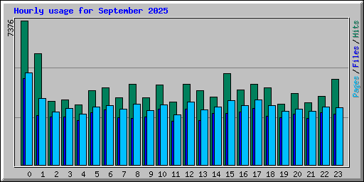 Hourly usage for September 2025
