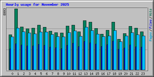 Hourly usage for November 2025