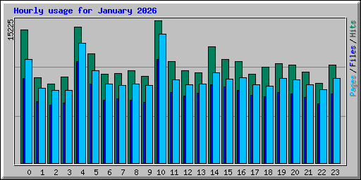 Hourly usage for January 2026